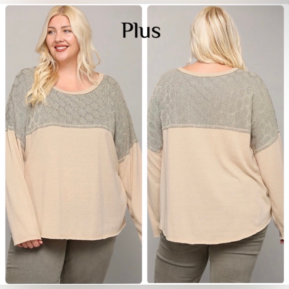 Dotted Contrast and Solid Knit Drop Shoulder